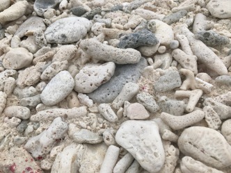 loved the rocks at this beach